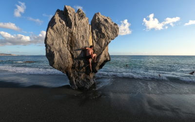 Weitere Bilder unserer Foto-Serie 2020